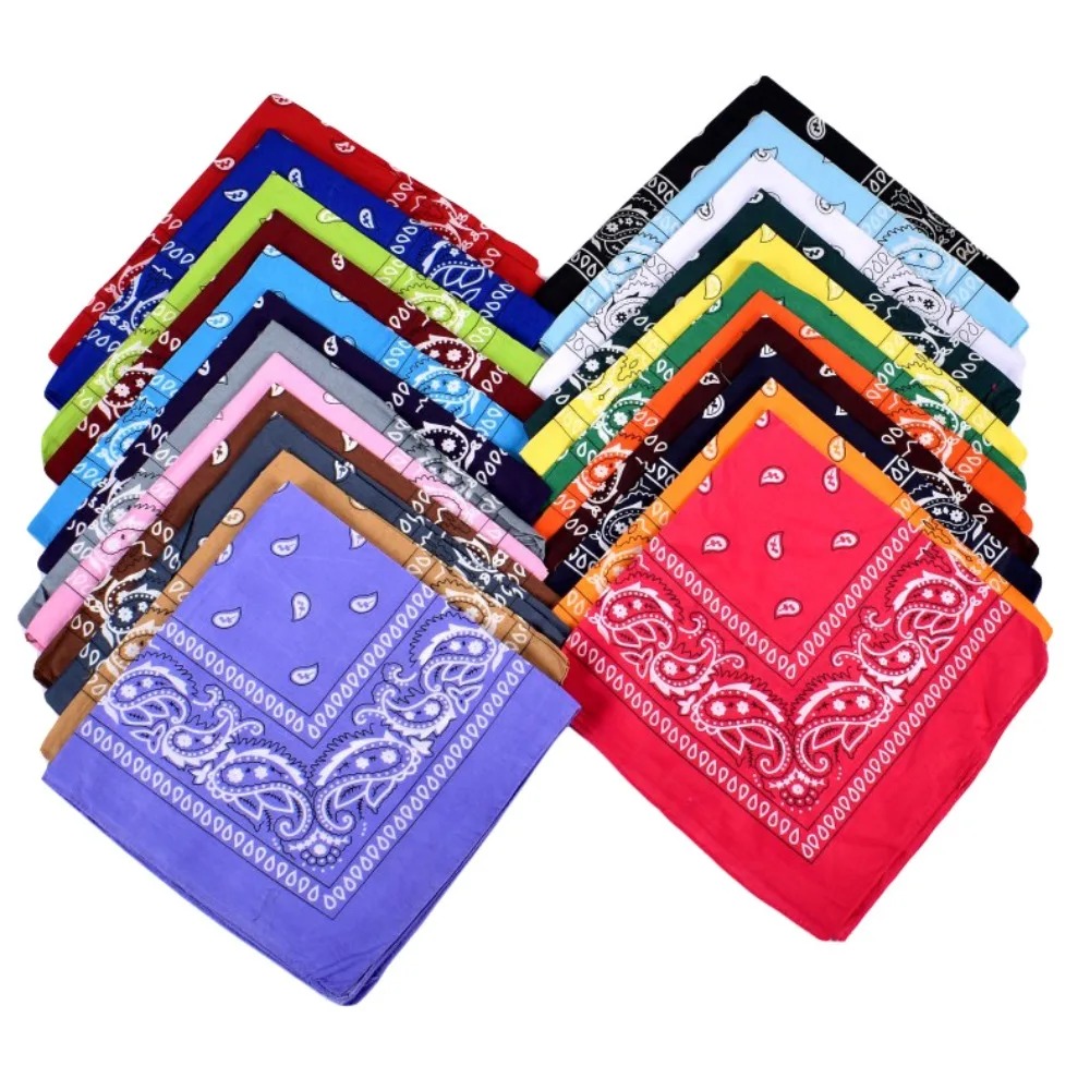 Hip Hop Cowboy Paisley Scarf L - Bandana Blank White 评论和价格