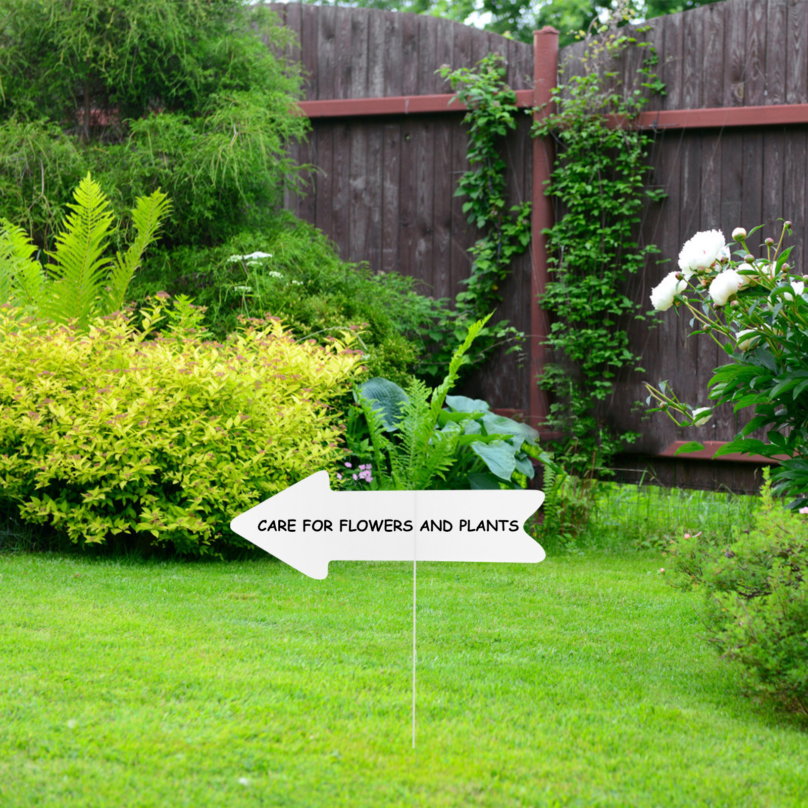 5Pcs Blank Yard Signs with Sta - Yard Sign Blank 评论和价格
